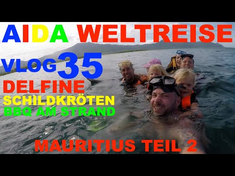 Aida Weltreise VLOG 035 - Mauritius Teil 2 - Schwimmen mit Delfinen