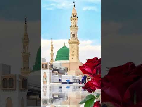 ❤️ Mera Payamber Azeem Tar Hai | Muzafar Warsi Old Naat 🥺 #shorts