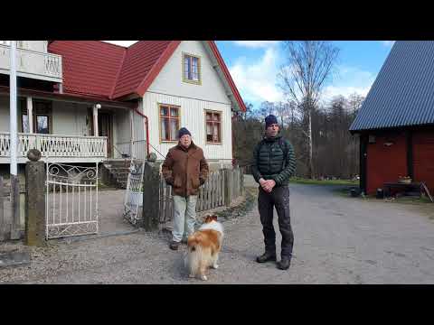 Bosarpsmodellen för naturnära skogsbruk och odling av ek