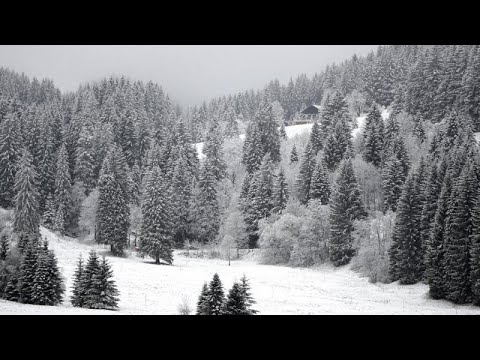Kalte Corona-Zeiten: Euronews am Abend am 20.11.