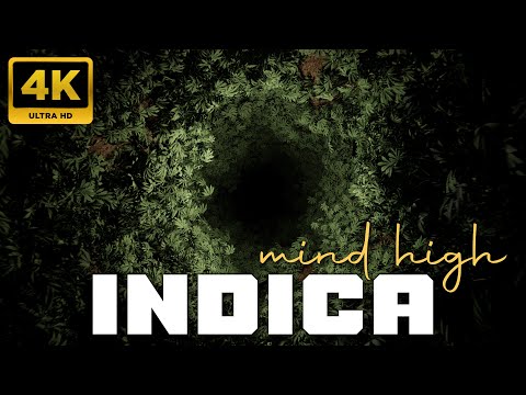 INDICA Mind High Music | WARNING | Intensely Relaxing Weed Effects Animated Video NO ADV  432Hz