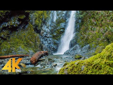 4K Beauty of Canadian Nature - Scenic Nature Film - Part #5 - Short Preview Video