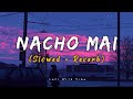 Nacho Mai नाचो मैं Cg Song Slowed And Reverb Lofi Mix