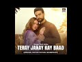 Teray Janay Ke Baad OST Female Version Nish Asher ARY DIGITAL