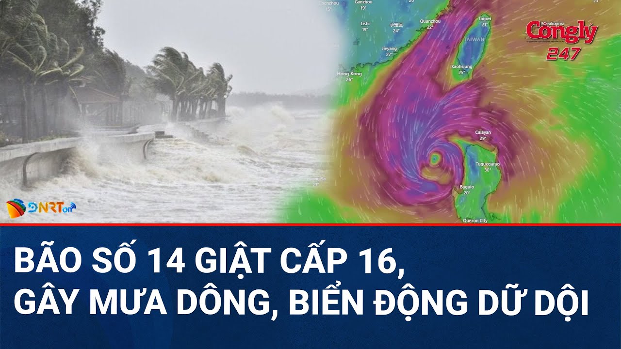 THỜI SỰ ĐÀ NẴNG | Bão số 14 Fung Wong xoay chiều dữ dội, sóng biển cao kỷ lục 9m
