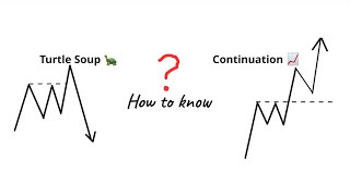 Turtle Soup or Continuation ? | Order Flow Trading