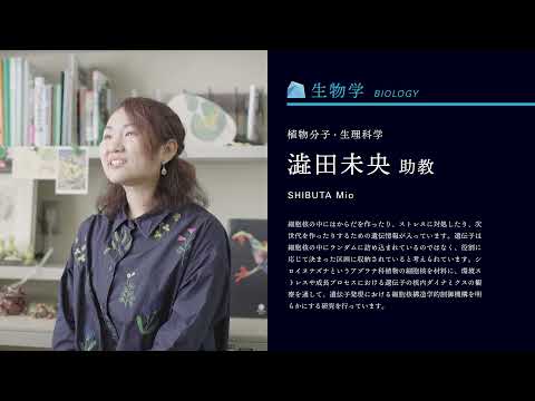 【山形大学】理学部教員紹介動画（澁田未央）（植物分子・生理科学）