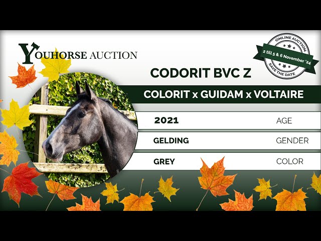 Codorit BVC Z