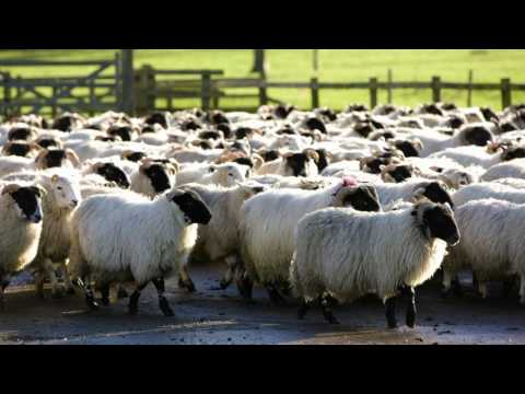 Northumberland College Summer 2017 - Kirkley Hall Campus