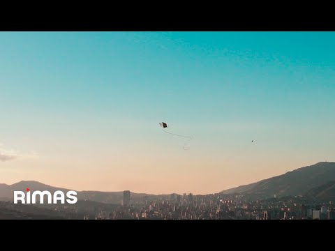 Corina Smith - aquí seremos 2 (Visualizer) | menos triste más mami