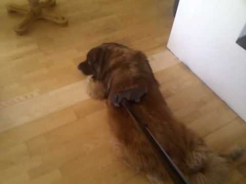 Støvsuger er skummelt