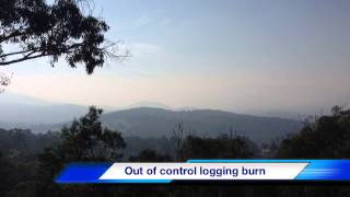 Mt St Leonard&#39;s logging burn out of control