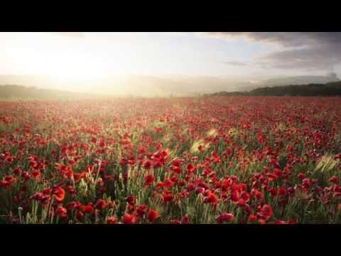 Mozambo, Pakem, Kungs ft. Julia Church - Soulmate (Original Mix)