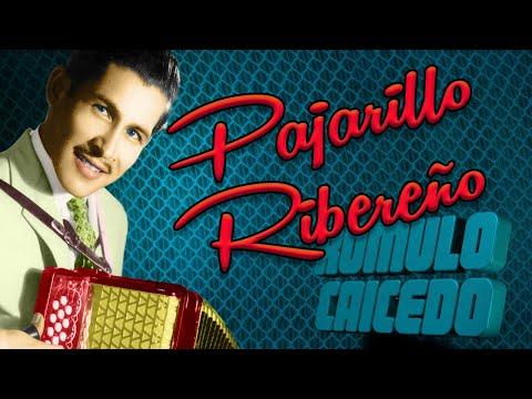 Romulo Caicedo - Pajarillo Ribereño