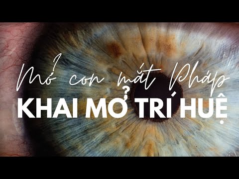 Mở con mắt pháp để khai mở Trí huệ - Ajahn Chah