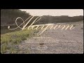 Amy Stroup As Long As You Re With Me Feat Andrew Belle Lyric Video