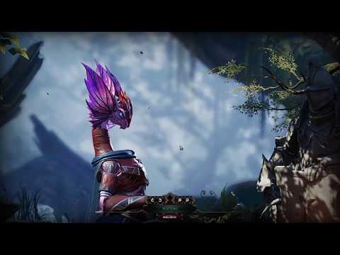 Divinity: Original Sin 2 Lone Wolf(s?) CO-OP (Part 3, with reset)