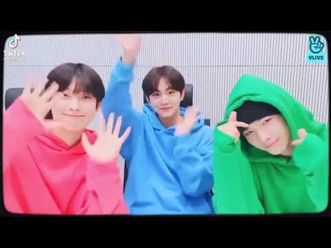 enhypen maknae line as powderpuff boys #enhypen #jungwon #niki #sunoo