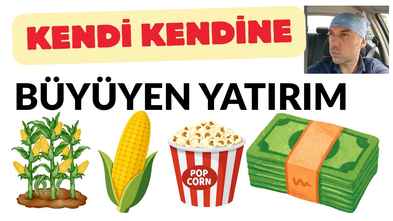 Üstüne Para Eklemeden Parayı Büyüten Yatırım Budur 1 Senede Sistemini Kurabilirsin