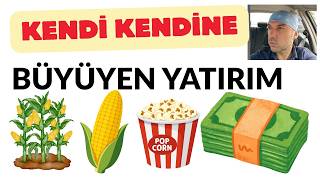 Üstüne Para Eklemeden Parayı Büyüten Yatırım Budur 1 Senede Sistemini Kurabilirs