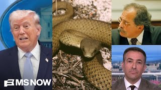 Snakes & ‘insane’ rants: SEE Trump’s decline as reported by NYT, WH Vet SPEAKS