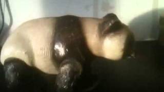 IMG 4814