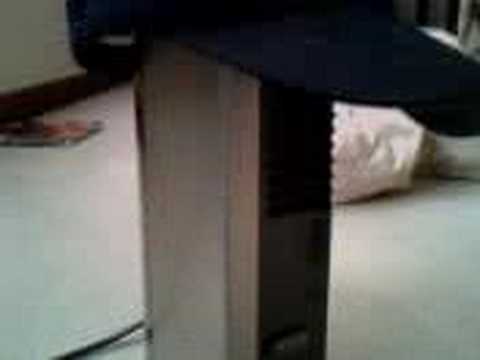 a true baseball fan for life