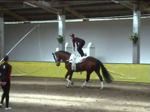 Mainz Hechtsheim 1 Bad Ems 2008 Pflicht