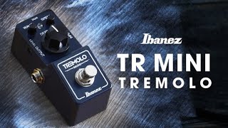 Ibanez TRMINI with Lee Wrathe