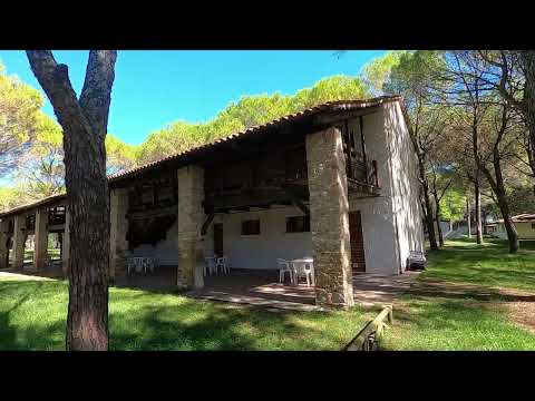 Urlaub auf dem Campingplatz Belvedere Pineta Camping Village Grado