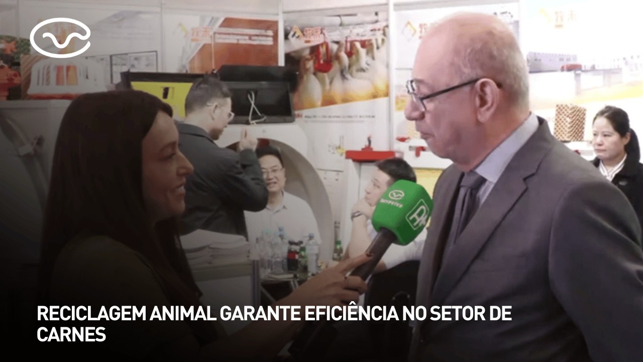 Reciclagem animal garante eficiência no setor de carnes