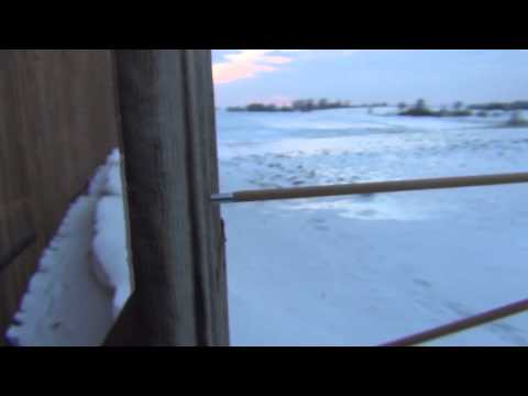 Balestra medievale - colpi di presentazione. Diversa forza di tensione