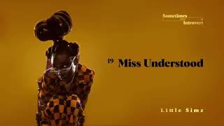 Miss Understood Music Video