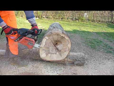 Dolmar PS550 Oregon PowerSharp (P1050491)