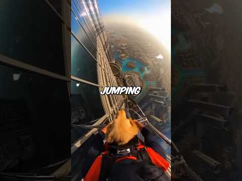 Saving A Puppy From The Top Of The Burj Khalifa 🇦🇪🐕