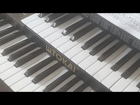 Órgão Tokai D2 Classic - Hinos CCB