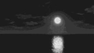 Where I belong - Sia