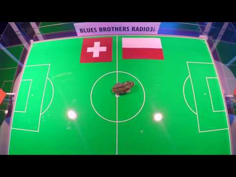 Blues Brothers Radio3i PRONOSTICO SVIZZERA - POLONIA del criceto Jean Jacques Aeschlimann