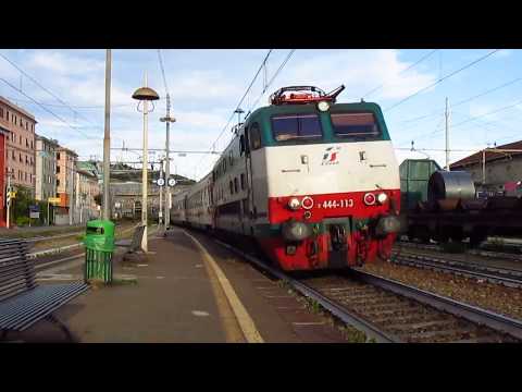 Salutone della tartaruga-E 444r 113