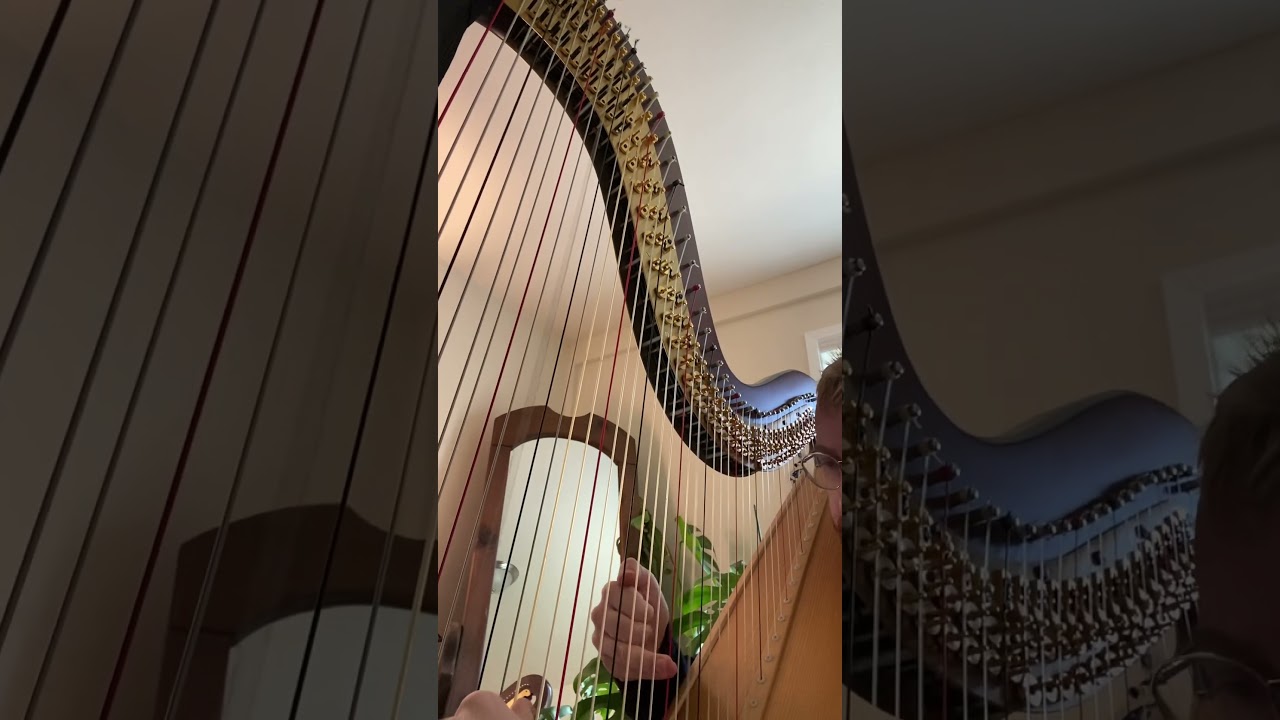 Promotional video thumbnail 5 for Zane Mallett, Harpist