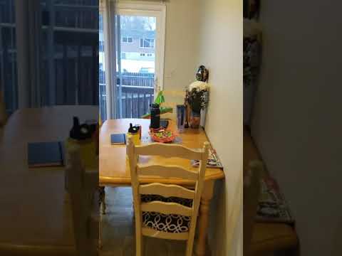 2801-2805 Stanford Rd - Video 2 of 2