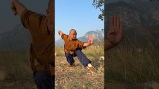 Download lagu SHAOLIN MARTIAL ARTS MOVES || KICKBOXING KUNGFU TRAINING #shaolin #kungfu mp3