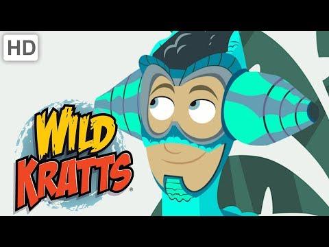 Wild Kratts - Weirdest Animals! (Part 2/2) | Kids Videos
