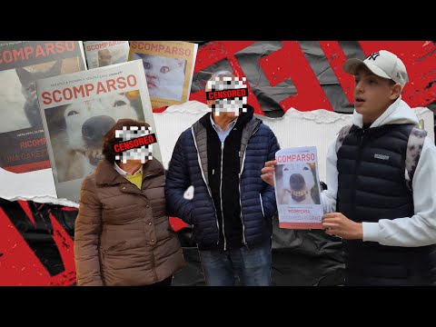 HELP ME I LOST MY DOG 🐕