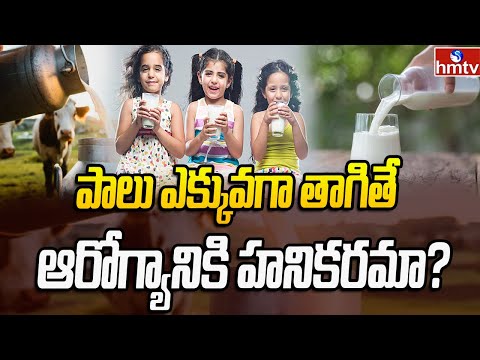 పాలు ఎక్కువగా తాగితే ఆరోగ్యానికి హనికరమా? | Milk | News Chips | hmtv