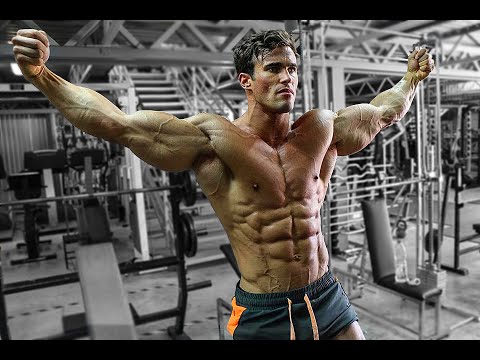 Brusttraining mit Calum von Moger