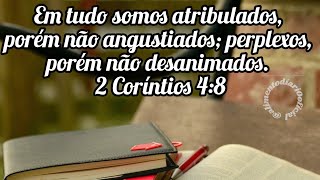 Alimento Dirio / Po dirio / Palavra de Deus / Orao