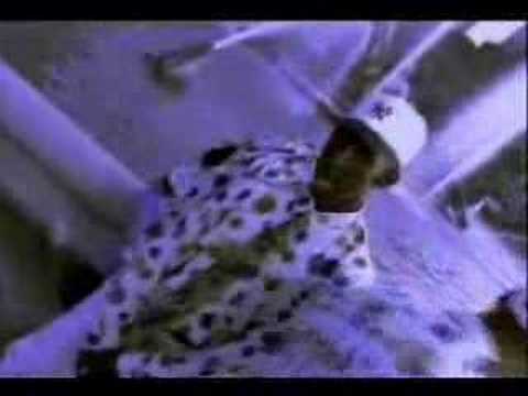 Video thumbnail for Sympin' (Remix Radio Edit)