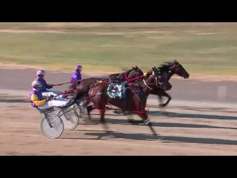 GOULBURN - 30/05/2016 - Race 3 - GLEN MIA ACT SADDLERY/RANVET COMPETITIVE STAKES