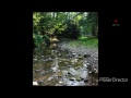 Alan jackson- walk on the rocks lyrics